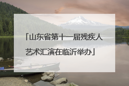 山东省第十一届残疾人艺术汇演在临沂举办