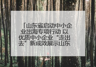 山东省启动中小企业出海专项行动 以优质中小企业“走出去”新成效展示山东产业发展新形象