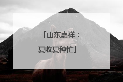 山东嘉祥：夏收夏种忙