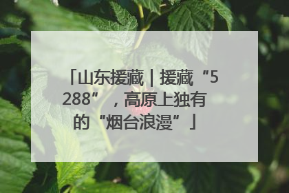 山东援藏｜援藏“5288”，高原上独有的“烟台浪漫”