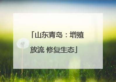 山东青岛：增殖放流 修复生态