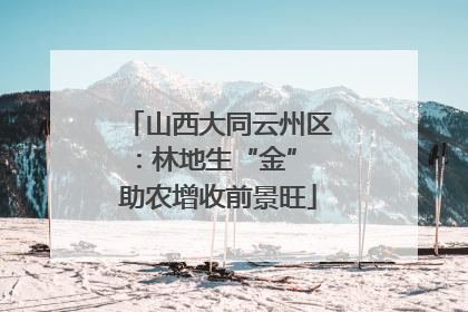 山西大同云州区：林地生“金” 助农增收前景旺