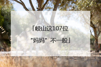 岐山这107位“妈妈”不一般