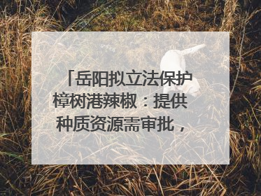 岳阳拟立法保护樟树港辣椒：提供种质资源需审批，违规最高罚5万