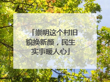 崇明这个村旧貌换新颜，民生实事暖人心