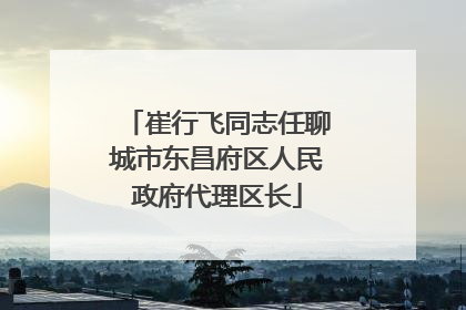 崔行飞同志任聊城市东昌府区人民政府代理区长
