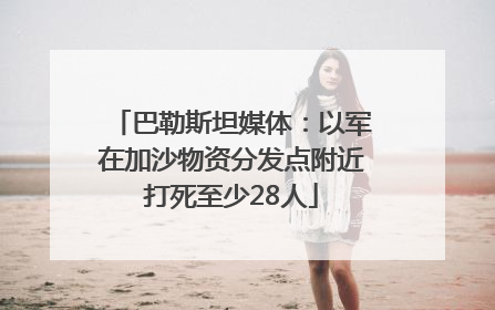 巴勒斯坦媒体：以军在加沙物资分发点附近打死至少28人