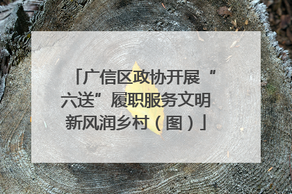 广信区政协开展“六送”履职服务文明新风润乡村（图）