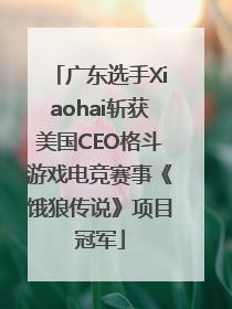 广东选手Xiaohai斩获美国CEO格斗游戏电竞赛事《饿狼传说》项目冠军