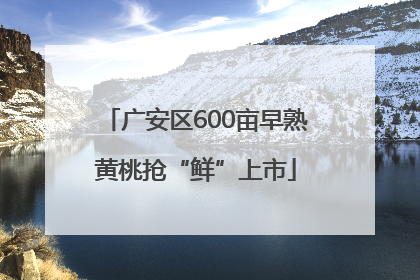 广安区600亩早熟黄桃抢“鲜”上市