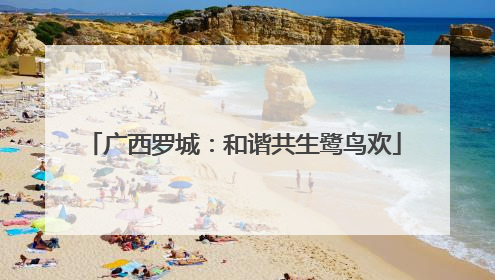广西罗城：和谐共生鹭鸟欢
