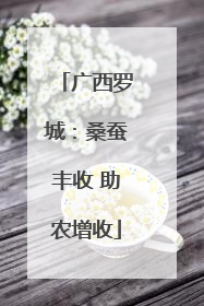 广西罗城：桑蚕丰收 助农增收