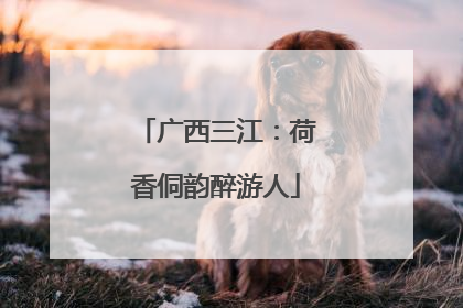 广西三江：荷香侗韵醉游人