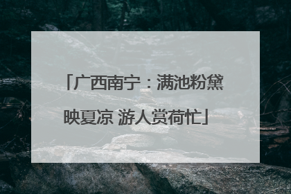 广西南宁：满池粉黛映夏凉 游人赏荷忙