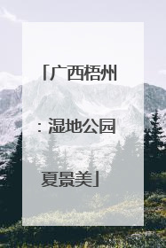广西梧州：湿地公园夏景美