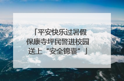 平安快乐过暑假 保康寺坪民警进校园送上“安全锦囊”