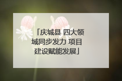 庆城县 四大领域同步发力 项目建设赋能发展