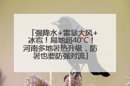 强降水+雷暴大风+冰雹！局地超40℃！河南多地暑热升级，防暑也要防强对流