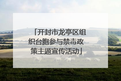 开封市龙亭区组织台胞参与禁毒政策主题宣传活动
