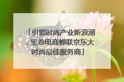 引领时尚产业新浪潮，宝尊电商蝉联京东大时尚最佳服务商