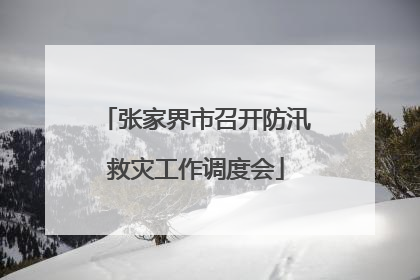 张家界市召开防汛救灾工作调度会