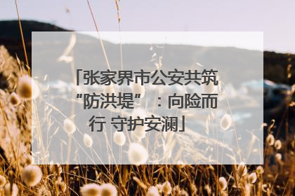 张家界市公安共筑“防洪堤”：向险而行 守护安澜