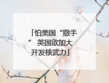 怕美国“撒手” 英国欲加大开发核武力