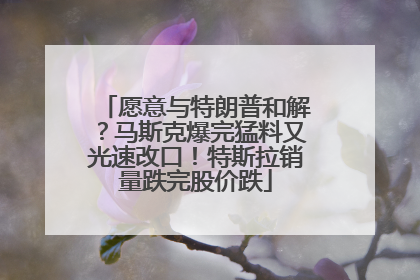 愿意与特朗普和解？马斯克爆完猛料又光速改口！特斯拉销量跌完股价跌