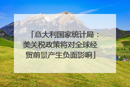 意大利国家统计局：美关税政策将对全球经贸前景产生负面影响