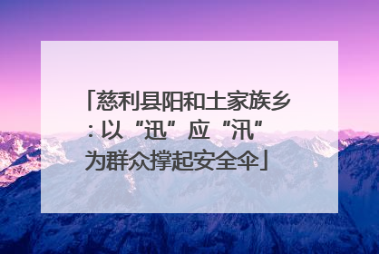 慈利县阳和土家族乡：以“迅”应“汛” 为群众撑起安全伞