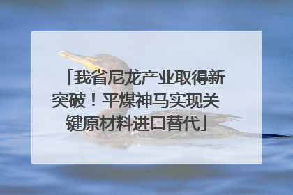 我省尼龙产业取得新突破！平煤神马实现关键原材料进口替代