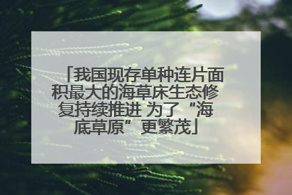 我国现存单种连片面积最大的海草床生态修复持续推进 为了“海底草原”更繁茂