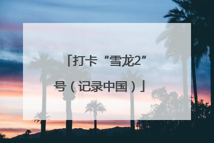 打卡“雪龙2”号（记录中国）