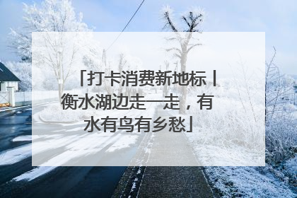 打卡消费新地标丨衡水湖边走一走，有水有鸟有乡愁