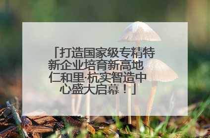 打造国家级专精特新企业培育新高地 仁和里·杭实智造中心盛大启幕！