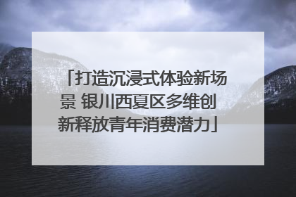 打造沉浸式体验新场景 银川西夏区多维创新释放青年消费潜力