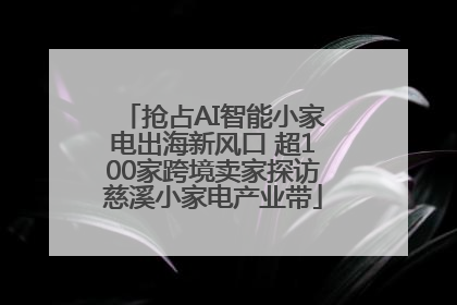抢占AI智能小家电出海新风口 超100家跨境卖家探访慈溪小家电产业带