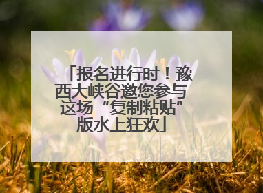 报名进行时！豫西大峡谷邀您参与这场“复制粘贴”版水上狂欢