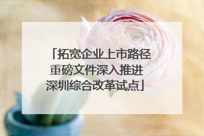拓宽企业上市路径 重磅文件深入推进深圳综合改革试点
