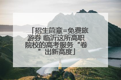 招生简章=免费旅游券 临沂这所高职院校的高考服务“卷”出新高度