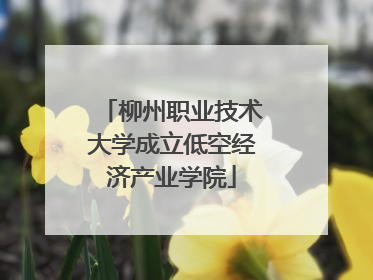 柳州职业技术大学成立低空经济产业学院