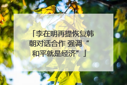 李在明再提恢复韩朝对话合作 强调“和平就是经济”