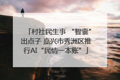 村社民生事 “智囊”出点子 嘉兴市秀洲区推行AI“民情一本账”