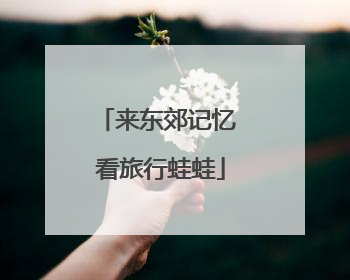 来东郊记忆 看旅行蛙蛙