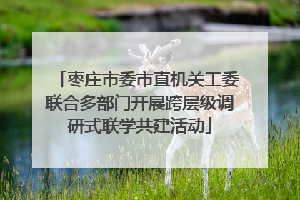 枣庄市委市直机关工委联合多部门开展跨层级调研式联学共建活动