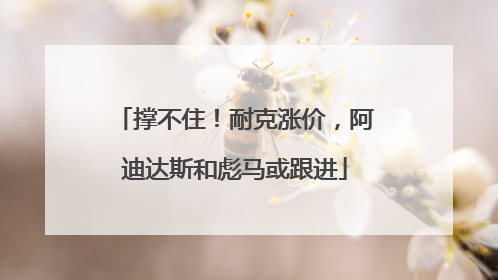 撑不住！耐克涨价，阿迪达斯和彪马或跟进