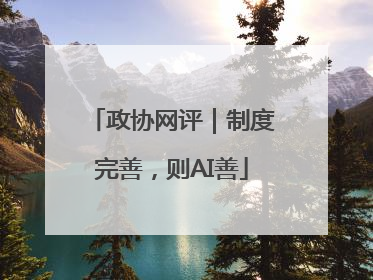 政协网评｜制度完善，则AI善