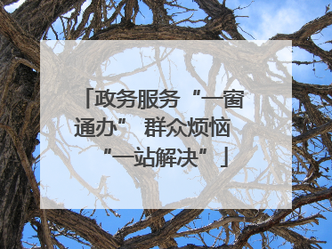政务服务“一窗通办” 群众烦恼“一站解决”