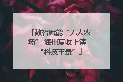 数智赋能“无人农场” 海州夏收上演“科技丰景”