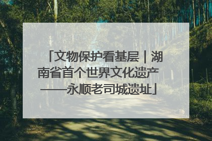 文物保护看基层｜湖南省首个世界文化遗产——永顺老司城遗址